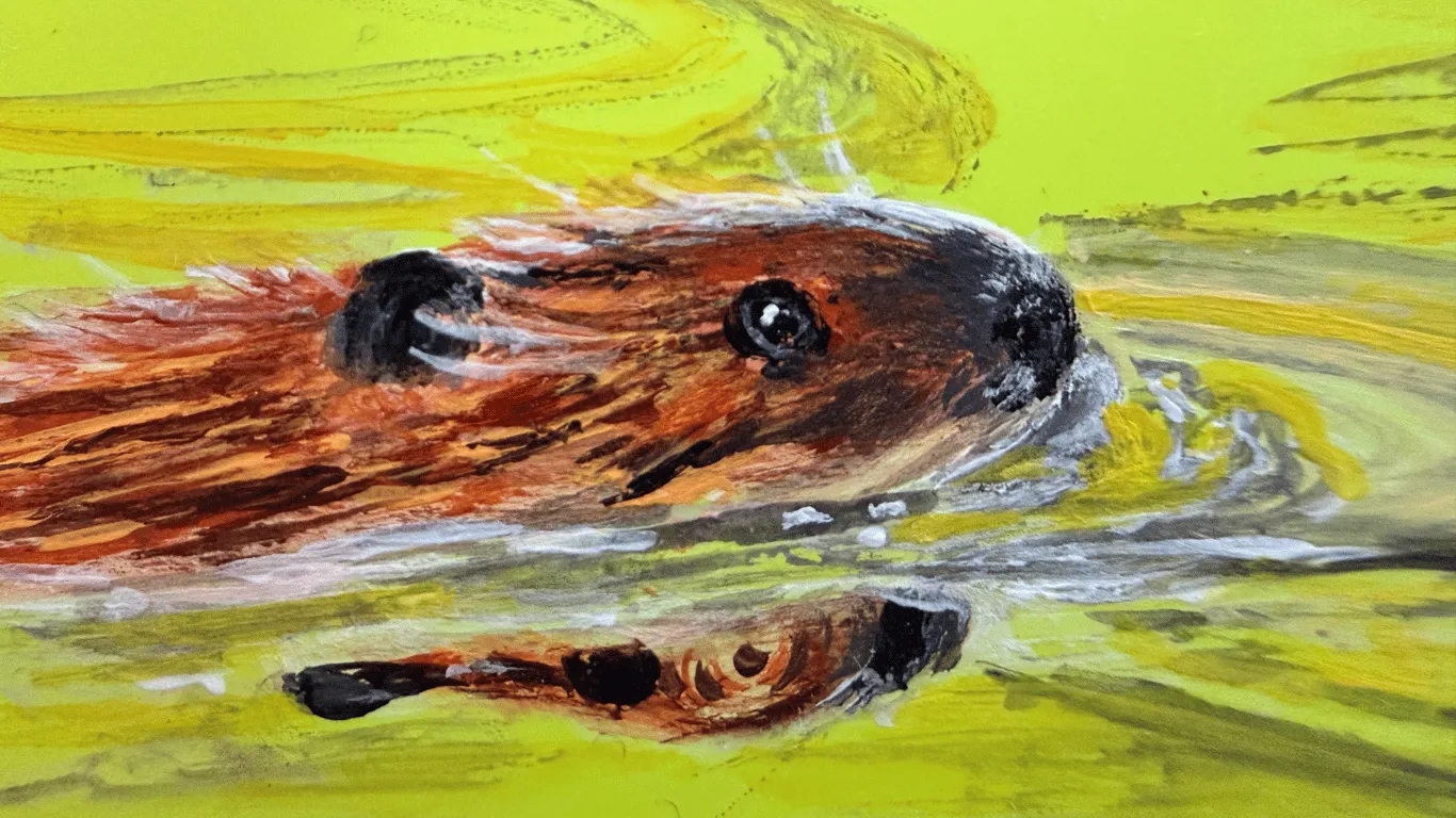 Renaturierung undercover. Wie Biber-Bombardierungen Mensch und Natur schützen.